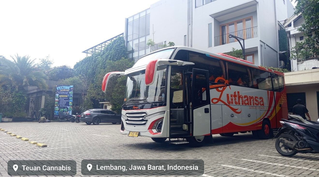 Bus Luthansa Luxury Coach